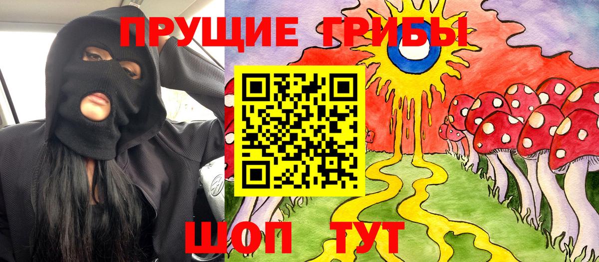 Егорьевск  Псилоцибиновые грибы мицелий  Вход с VPN 