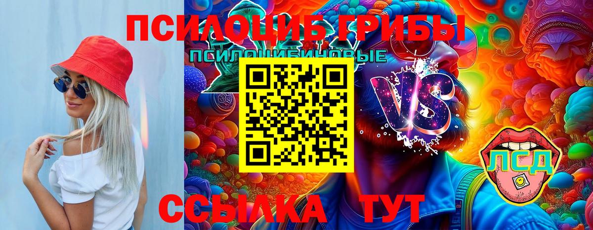 Галлюциногенные грибы прущие грибы Егорьевск